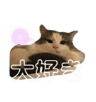 レーヴェさん（個別スタンプ：21）