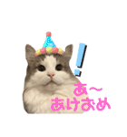 レーヴェさん（個別スタンプ：24）