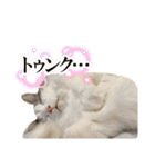 レーヴェさん（個別スタンプ：29）