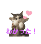 レーヴェさん（個別スタンプ：30）
