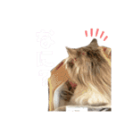 レーヴェさん（個別スタンプ：31）