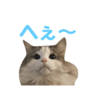レーヴェさん（個別スタンプ：32）
