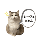レーヴェさん（個別スタンプ：38）