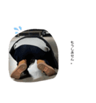 しいなよしき（個別スタンプ：6）