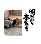 しいなよしき（個別スタンプ：12）