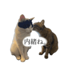 かわいいかわいいニャンズたち（個別スタンプ：31）