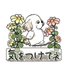 シーズー犬 『花を育てよう』いつもの言葉（個別スタンプ：5）