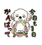 シーズー犬 『花を育てよう』いつもの言葉（個別スタンプ：6）