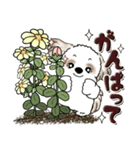 シーズー犬 『花を育てよう』いつもの言葉（個別スタンプ：14）