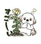 シーズー犬 『花を育てよう』いつもの言葉（個別スタンプ：24）