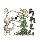 シーズー犬 『花を育てよう』いつもの言葉（個別スタンプ：28）