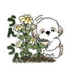 シーズー犬 『花を育てよう』いつもの言葉（個別スタンプ：29）