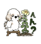 シーズー犬 『花を育てよう』いつもの言葉（個別スタンプ：34）