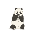 Friendly and cute panda（個別スタンプ：5）