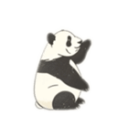 Friendly and cute panda（個別スタンプ：10）