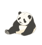 Friendly and cute panda（個別スタンプ：16）