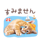 飛び出す♡夏の猫ちゃんスタンプ♪（個別スタンプ：20）