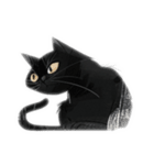 Sharp-eyed black cat（個別スタンプ：5）