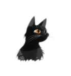 Sharp-eyed black cat（個別スタンプ：29）