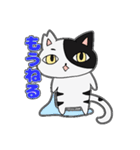 猫のきっしー 2（個別スタンプ：15）