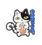 猫のきっしー 2（個別スタンプ：24）