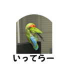 コザクラインコのうめちゃん1（個別スタンプ：16）