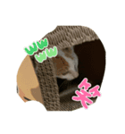 毎日使えるこまちゃんスタンプ（個別スタンプ：5）