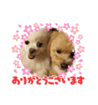 れん君ひまりちゃん（個別スタンプ：1）