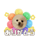 れん君ひまりちゃん（個別スタンプ：2）