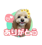 れん君ひまりちゃん（個別スタンプ：3）