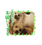 れん君ひまりちゃん（個別スタンプ：5）