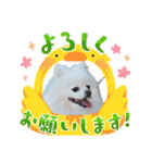 れん君ひまりちゃん（個別スタンプ：6）