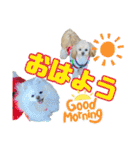 れん君ひまりちゃん（個別スタンプ：9）