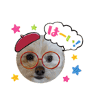 れん君ひまりちゃん（個別スタンプ：14）