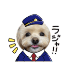 れん君ひまりちゃん（個別スタンプ：16）
