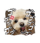 れん君ひまりちゃん（個別スタンプ：29）