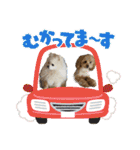 れん君ひまりちゃん（個別スタンプ：32）