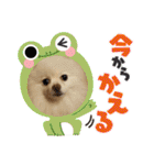 れん君ひまりちゃん（個別スタンプ：33）