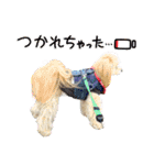 れん君ひまりちゃん（個別スタンプ：34）