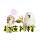れん君ひまりちゃん（個別スタンプ：35）