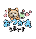 れん君ひまりちゃん（個別スタンプ：36）