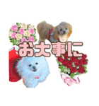 れん君ひまりちゃん（個別スタンプ：38）