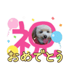 れん君ひまりちゃん（個別スタンプ：39）
