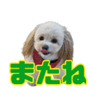 れん君ひまりちゃん（個別スタンプ：40）