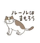 オープンチャットで使いやすい♡猫だらけ（個別スタンプ：1）