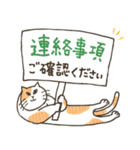 オープンチャットで使いやすい♡猫だらけ（個別スタンプ：5）