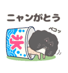 サマーカットにゃんこ ハチワレ 黒と白（個別スタンプ：9）