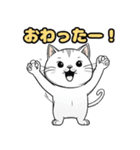 リアルねこ日和3（個別スタンプ：9）