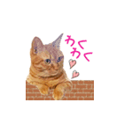 猫のしずくスタンプ。②（個別スタンプ：3）