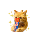 猫のしずくスタンプ。②（個別スタンプ：7）